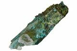 Chrysocolla on Quartz Crystal - Tentadora Mine, Peru #169245-1